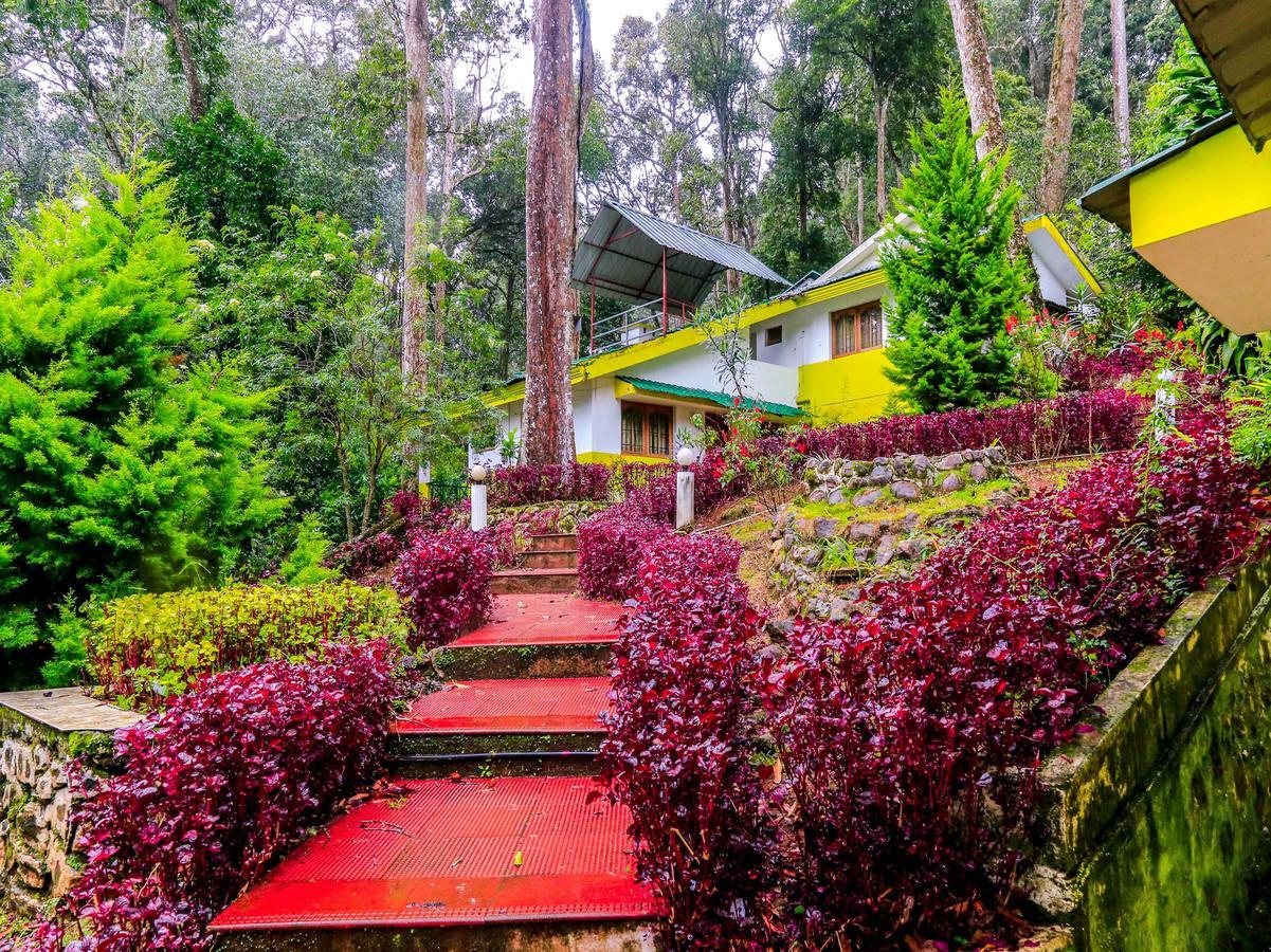 Oyo 4651 Woodpecker Resort Munnar Exterior photo